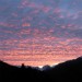 Altocumulus