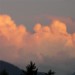 Cumulus congestus