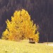Herbst im Schanfigg
