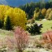 Herbst im Schanfigg
